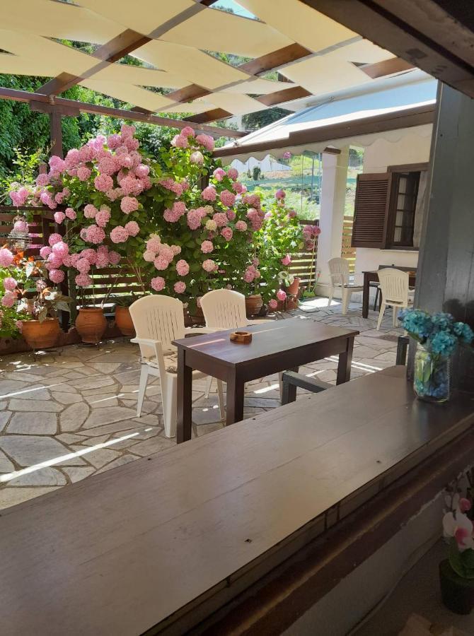 Eleni Studios Agios Ioannis  Bagian luar foto