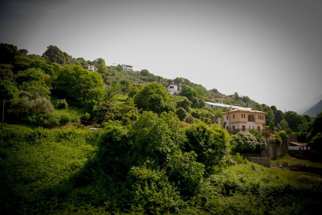 Eleni Studios Agios Ioannis  Bagian luar foto